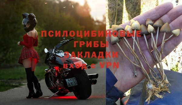 СК Волосово