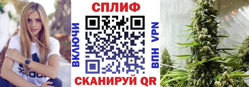продажа наркотиков  Вышний Волочёк  Марихуана индика 